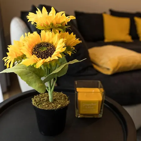 Deluxe Thermal Apartmán *